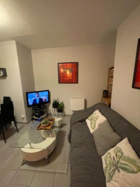 Bel appartement rez de chaussée